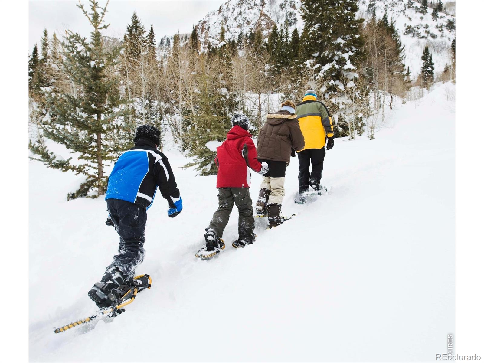 MLS Image #44 for 2862  newfound lake road,berthoud, Colorado