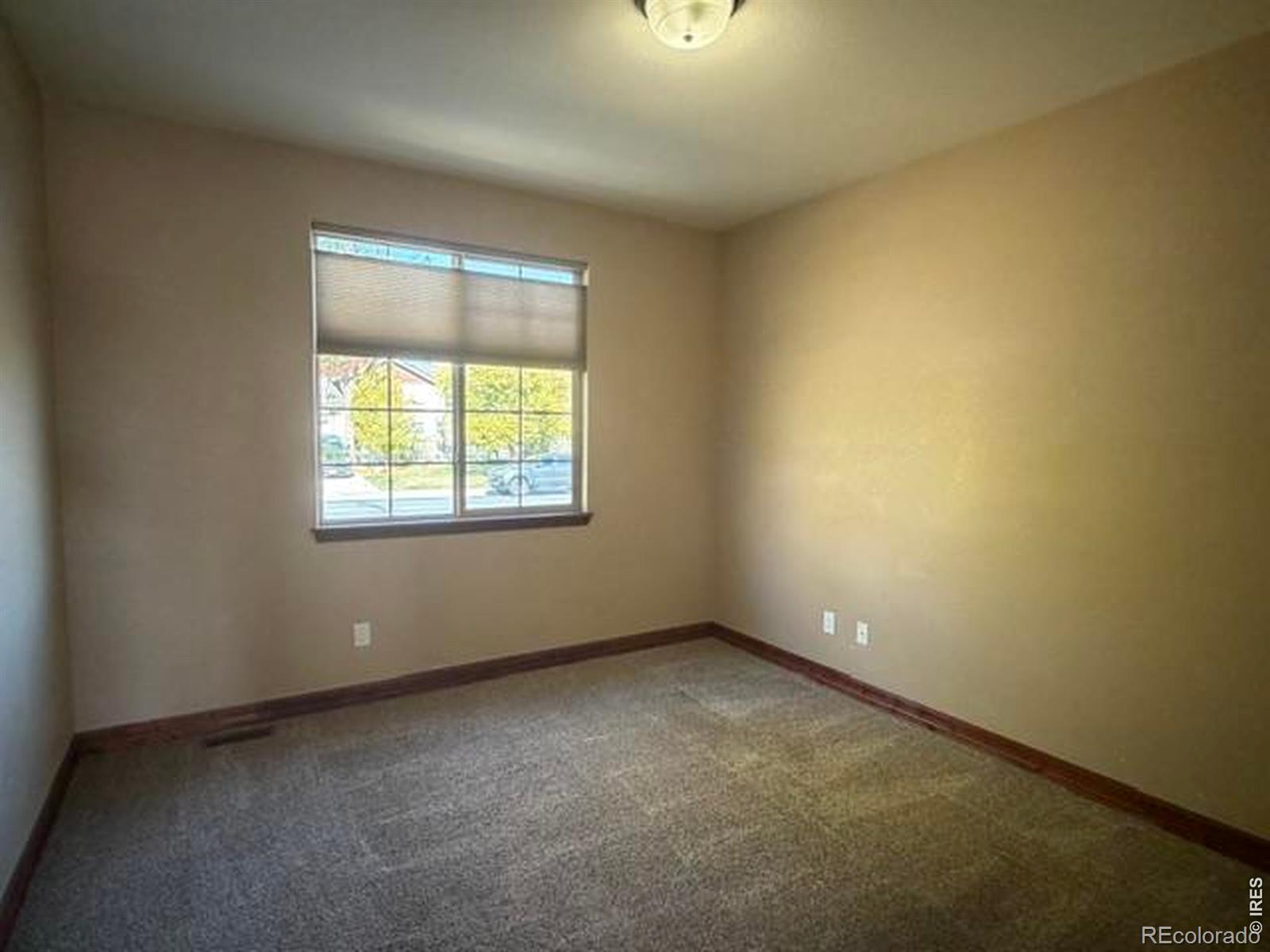 MLS Image #12 for 4546  tarragon drive,johnstown, Colorado