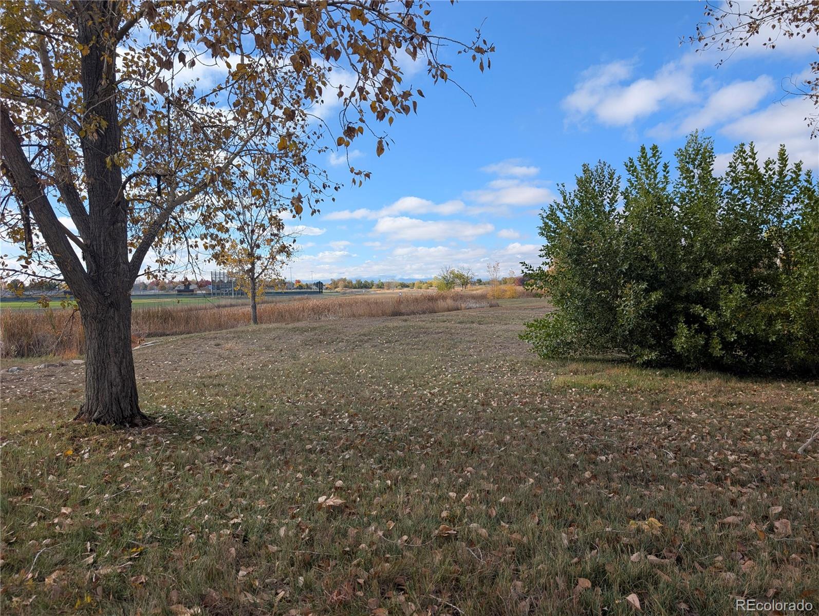 MLS Image #25 for 13900  lake song lane,broomfield, Colorado