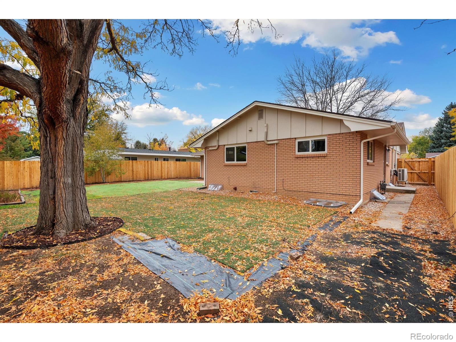 MLS Image #39 for 1204  baker street,fort collins, Colorado