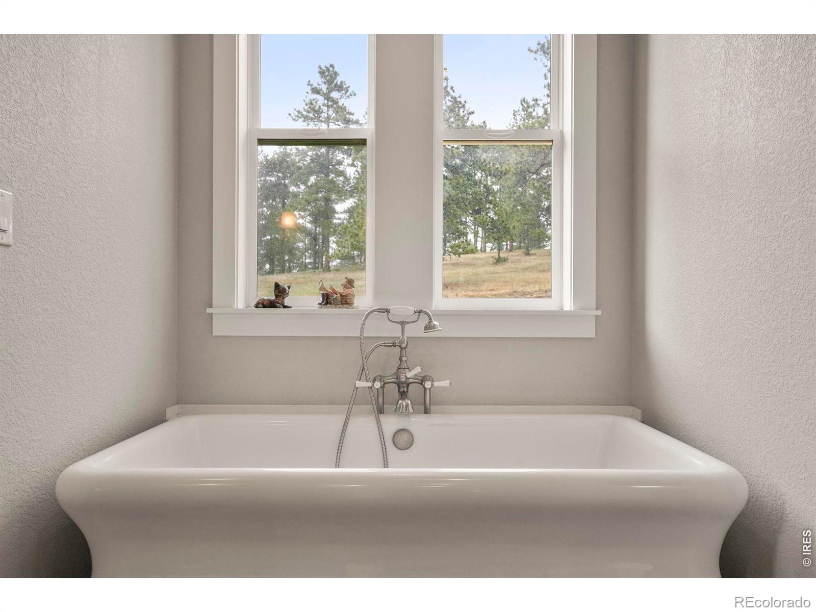 MLS Image #21 for 9610 s perry park road,larkspur, Colorado