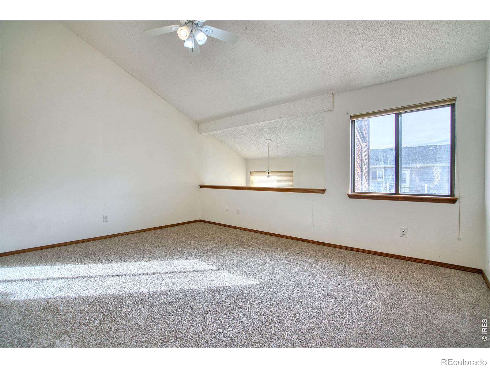 MLS Image #15 for 819  gabriel court,dacono, Colorado