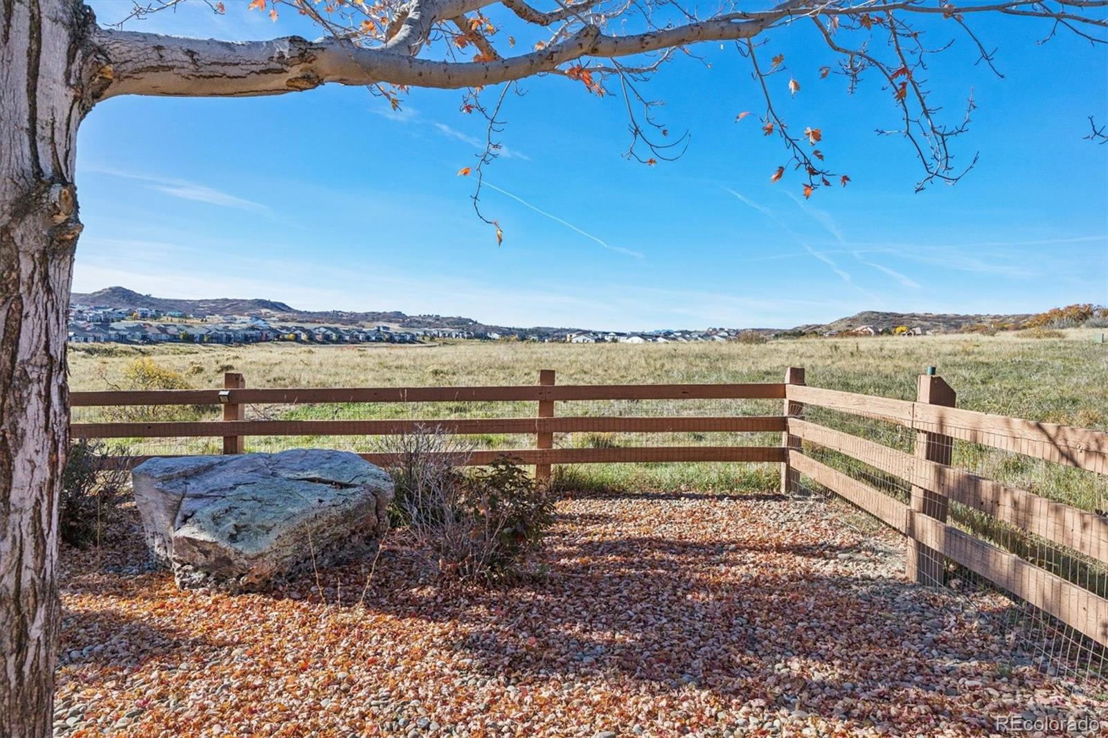 MLS Image #42 for 5570  sawdust loop,parker, Colorado