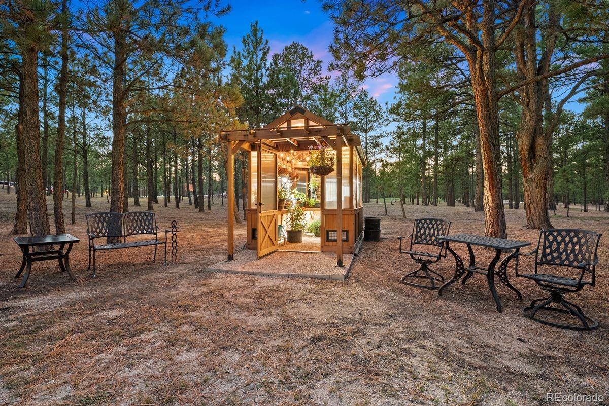 MLS Image #8 for 15685  pole pine point,colorado springs, Colorado
