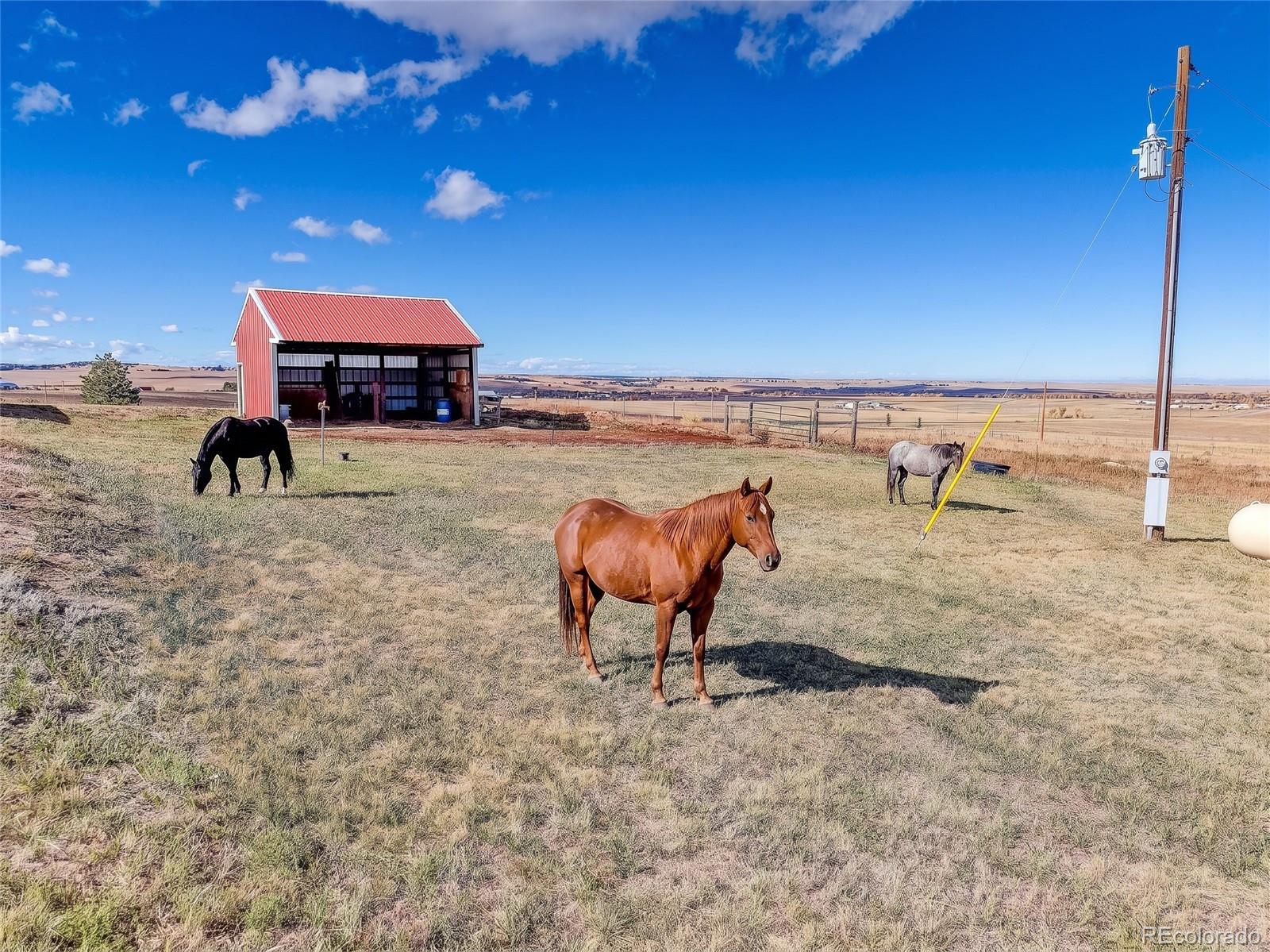 MLS Image #16 for 11159  pine meadows drive,kiowa, Colorado