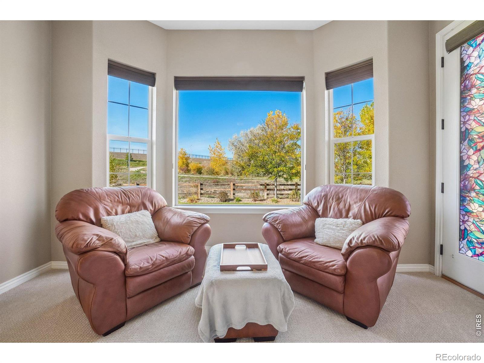 MLS Image #19 for 2377  palomino drive,fort collins, Colorado