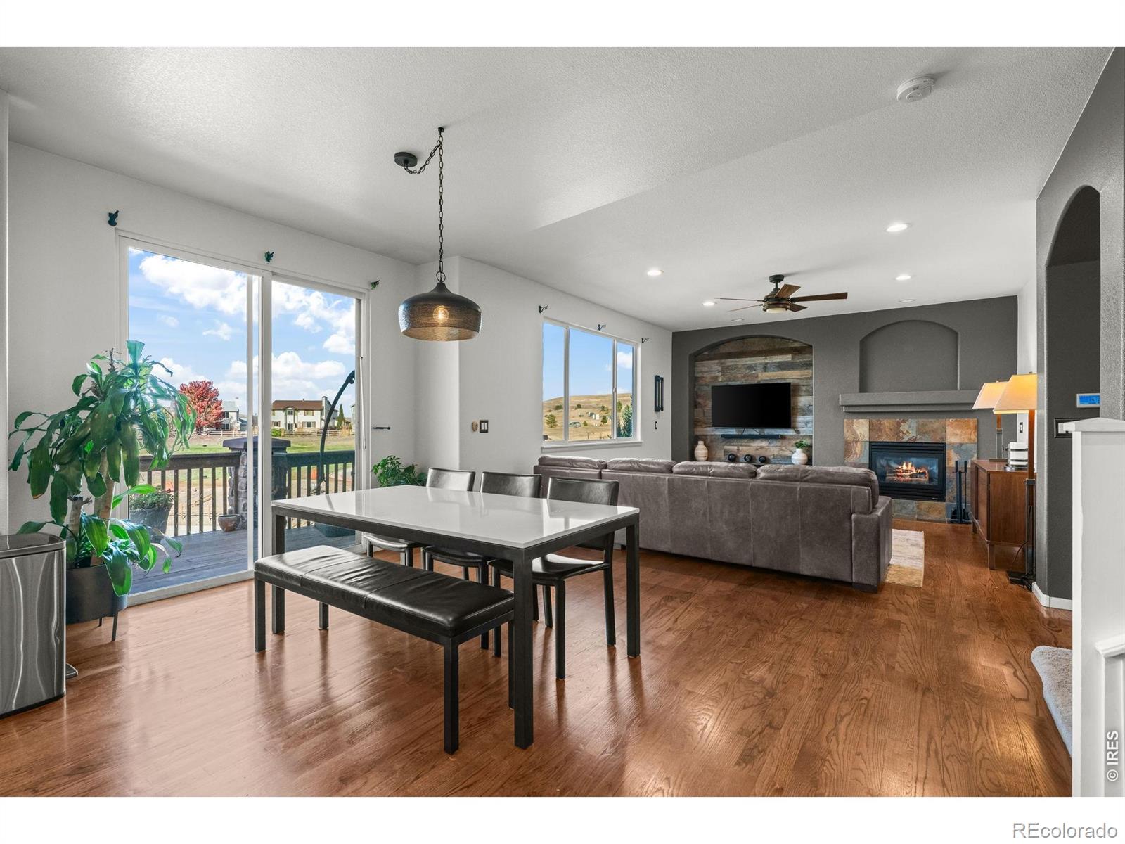 MLS Image #11 for 2069  pinon place,erie, Colorado