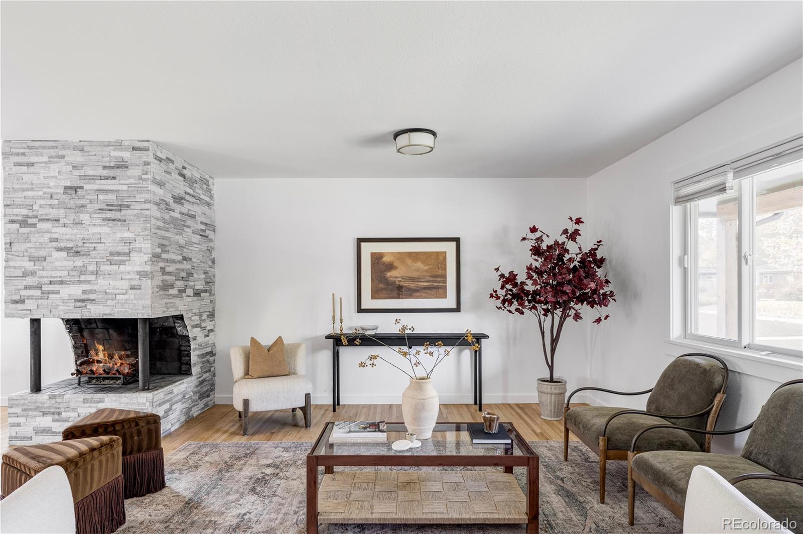 MLS Image #22 for 6098 s westview street,littleton, Colorado