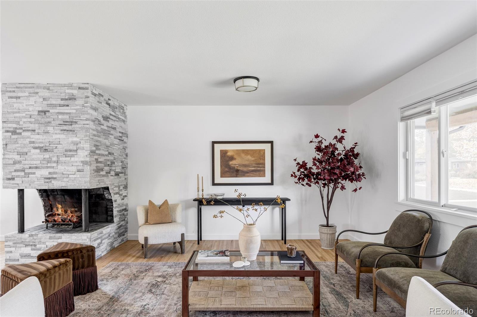 MLS Image #39 for 6098 s westview street,littleton, Colorado