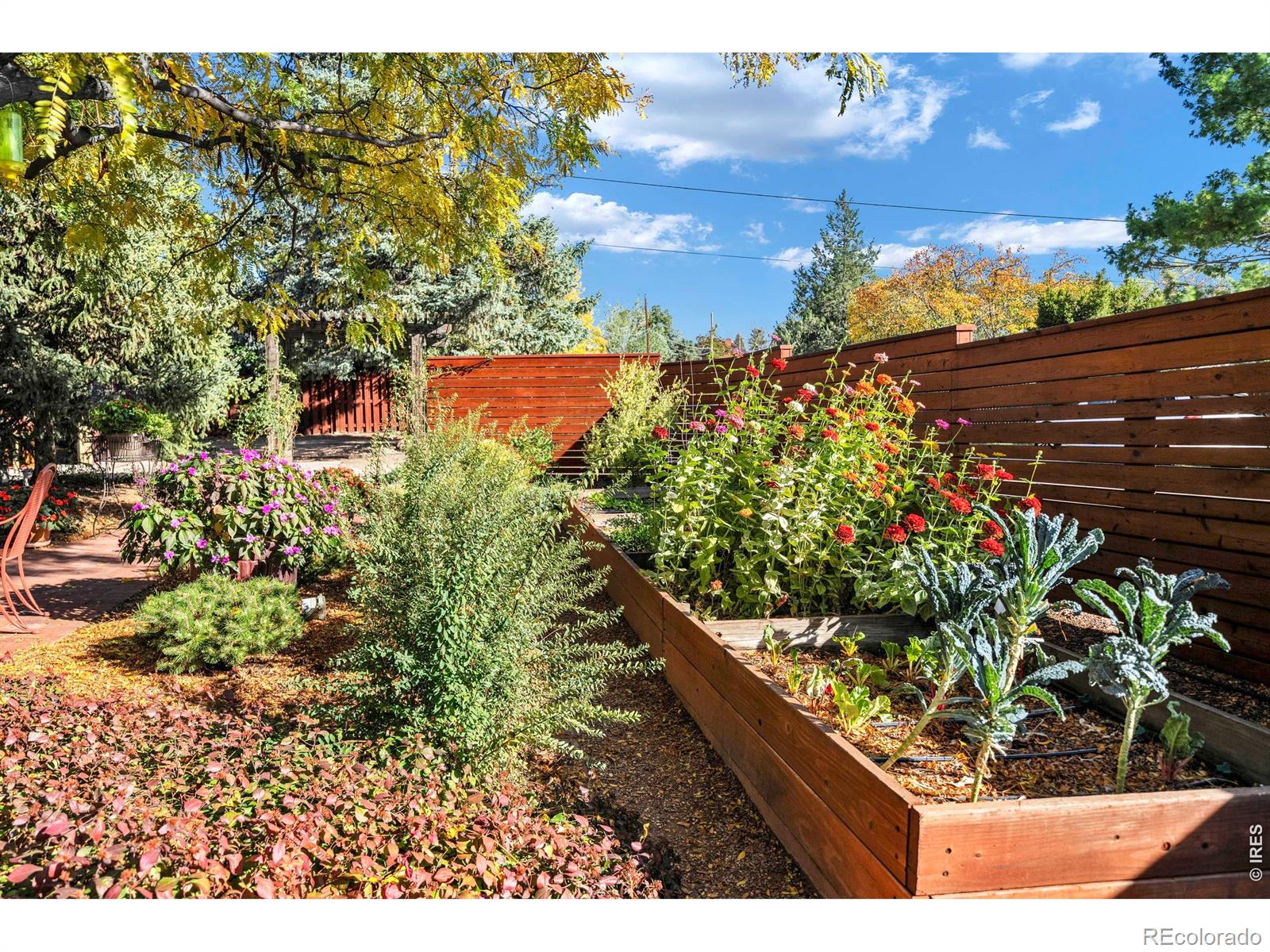 MLS Image #37 for 6539  stearns avenue,boulder, Colorado