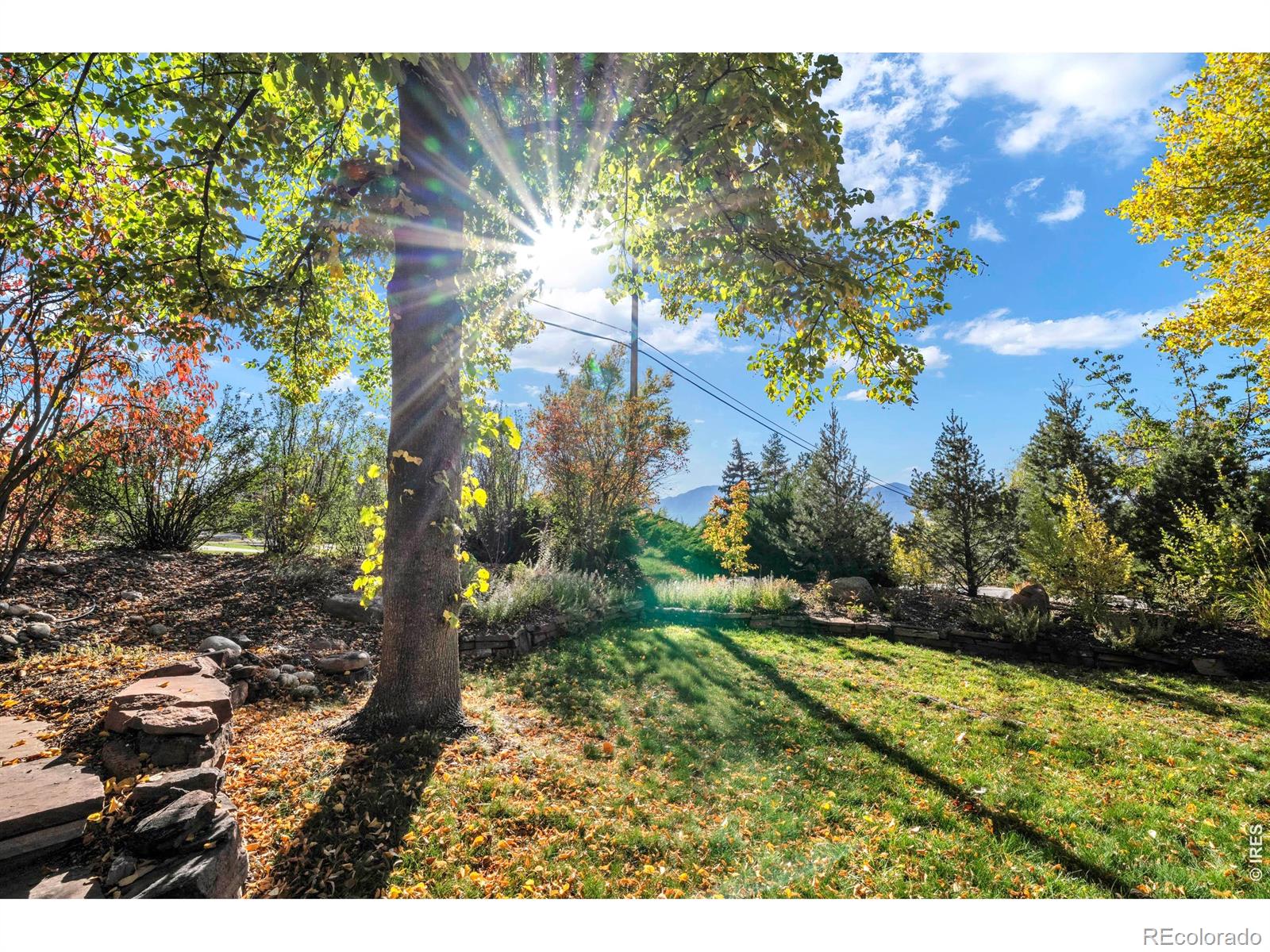 MLS Image #39 for 6539  stearns avenue,boulder, Colorado