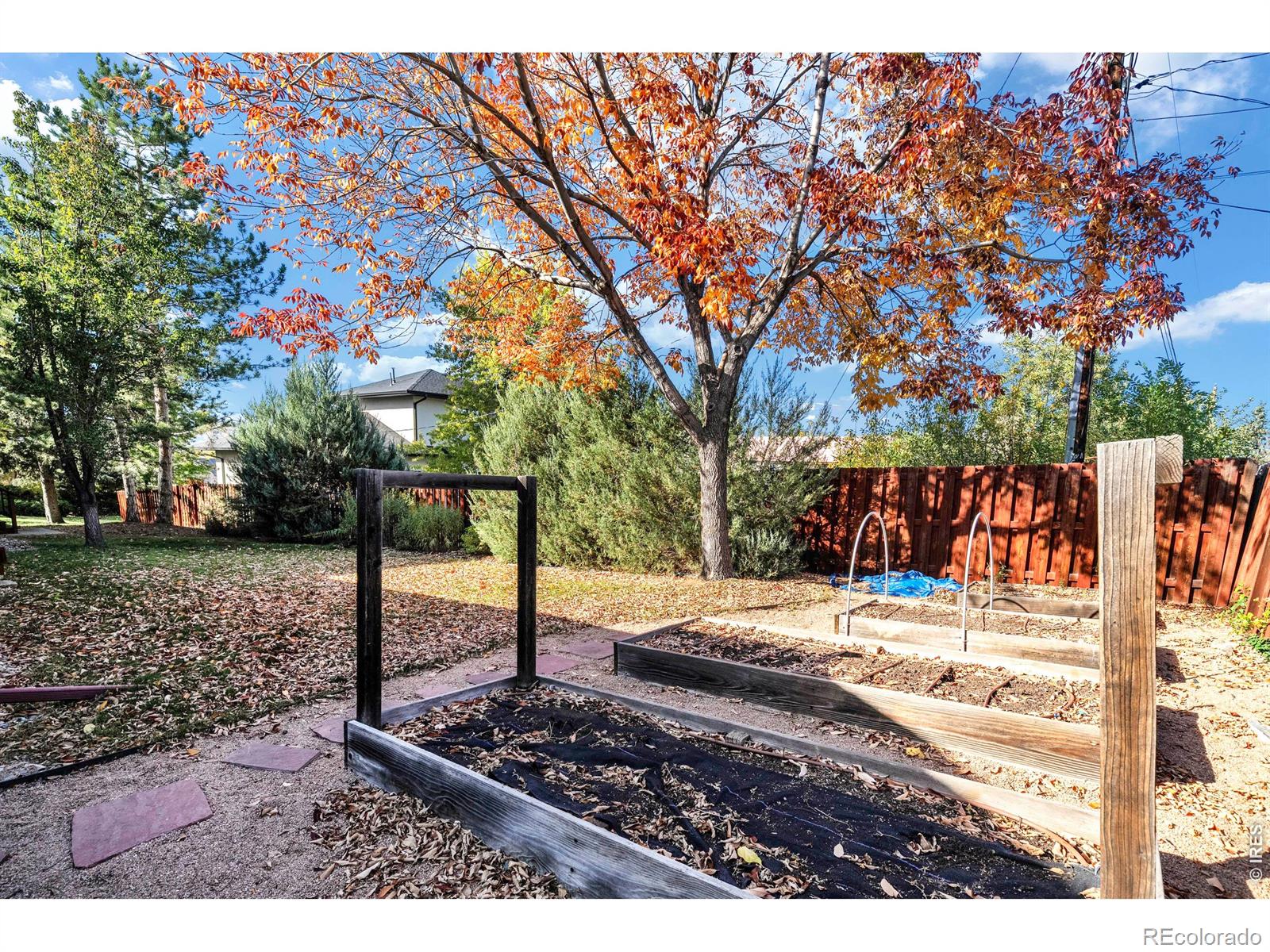 MLS Image #42 for 6539  stearns avenue,boulder, Colorado