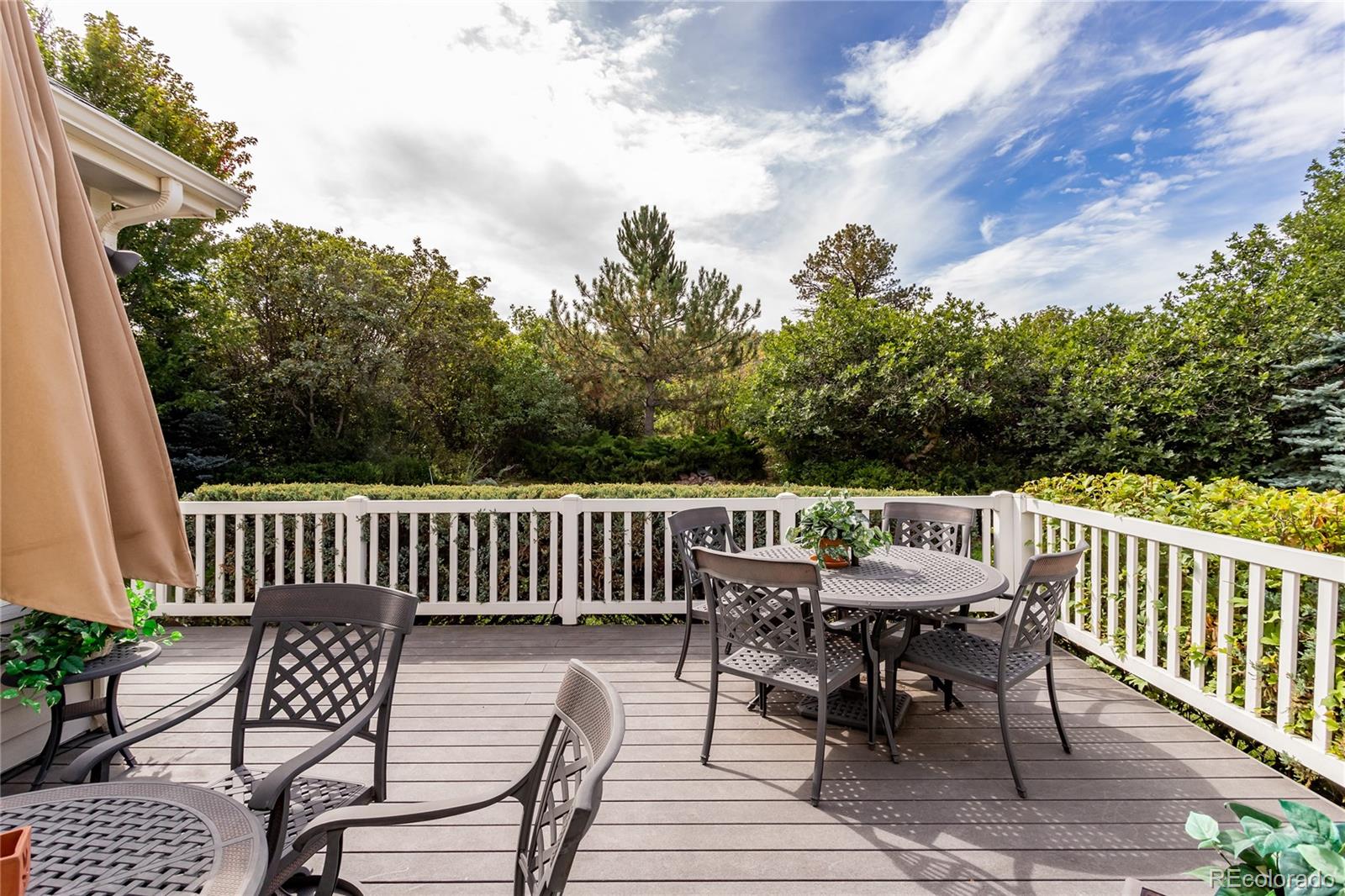 MLS Image #43 for 1041  prickly pear place,colorado springs, Colorado