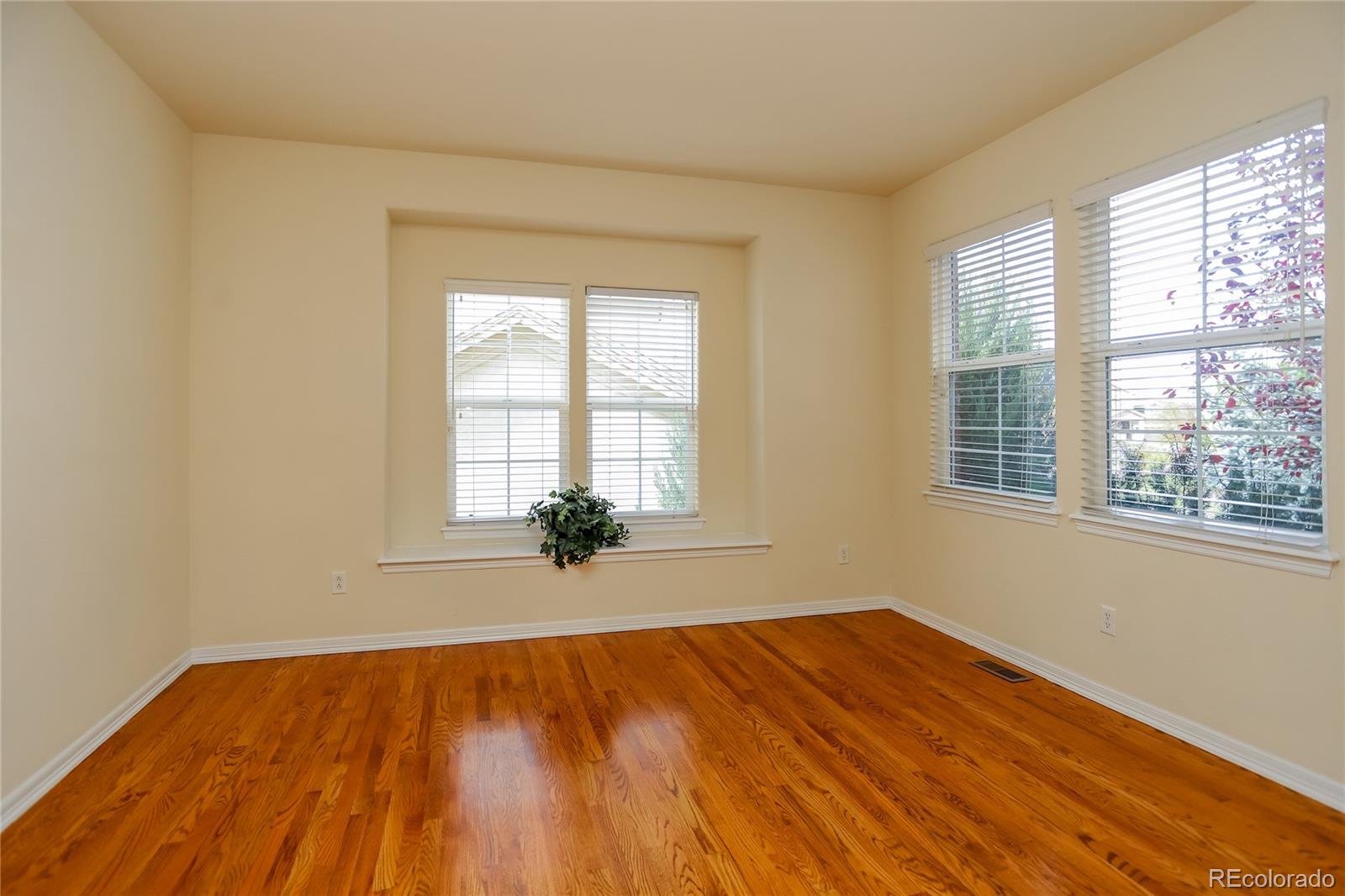 MLS Image #6 for 1041  prickly pear place,colorado springs, Colorado