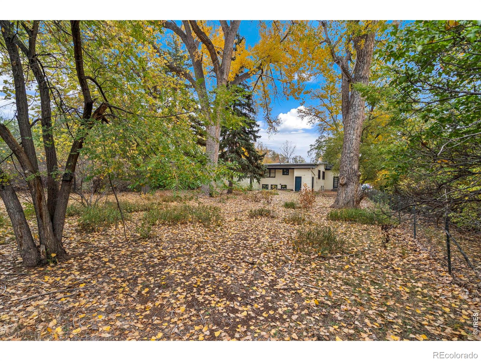 MLS Image #15 for 1509 s shields street,fort collins, Colorado