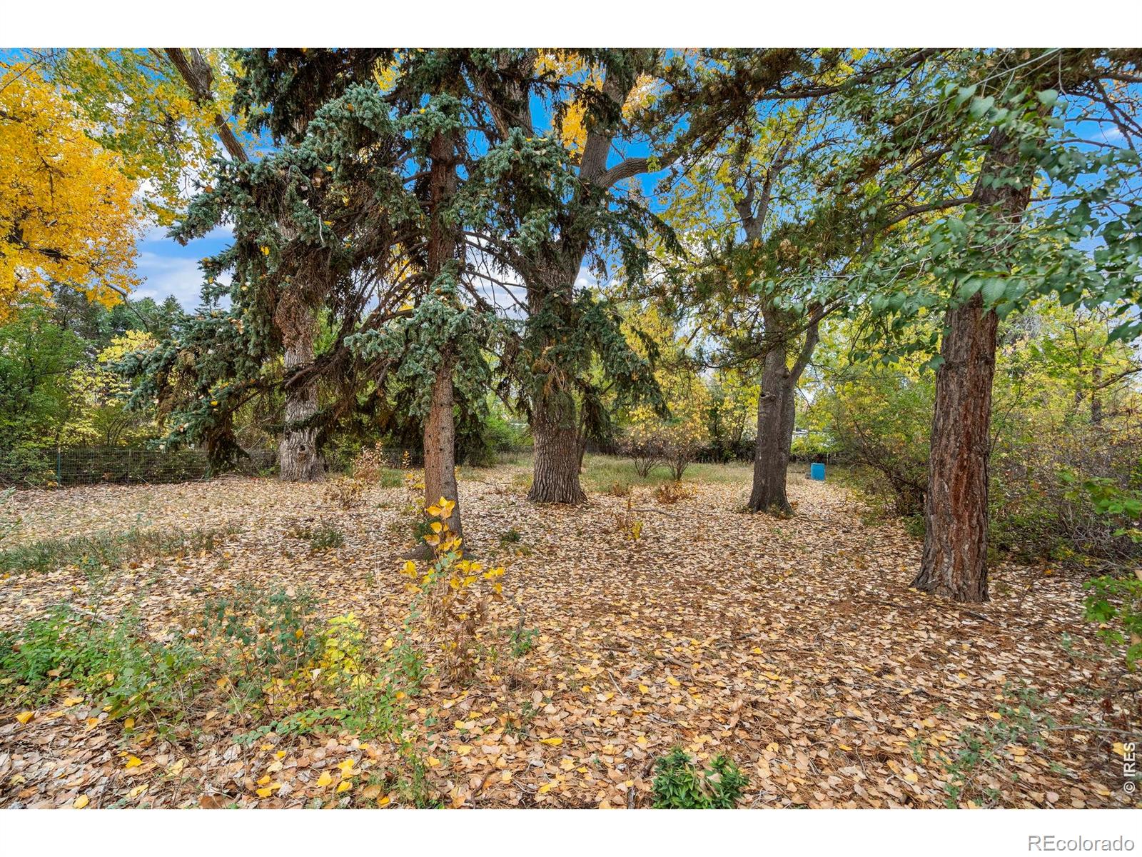 MLS Image #16 for 1509 s shields street,fort collins, Colorado