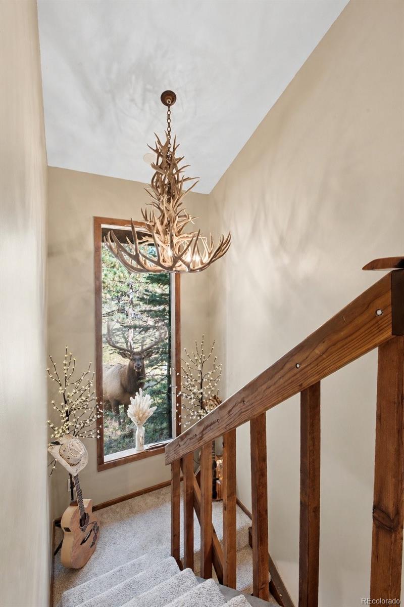 MLS Image #13 for 26112  chief hosa road,golden, Colorado