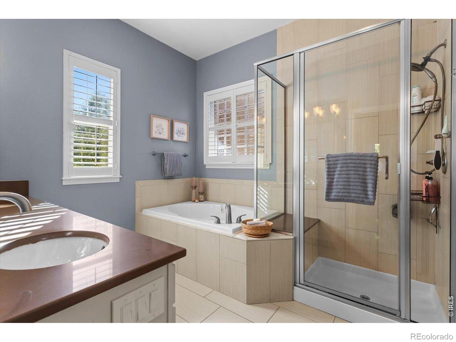 MLS Image #20 for 1608  chokeberry street,berthoud, Colorado