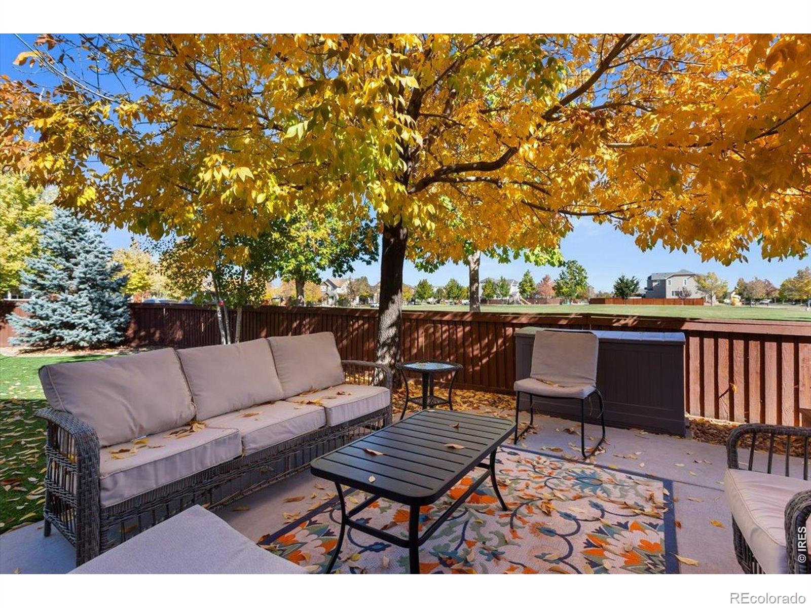 MLS Image #38 for 1608  chokeberry street,berthoud, Colorado