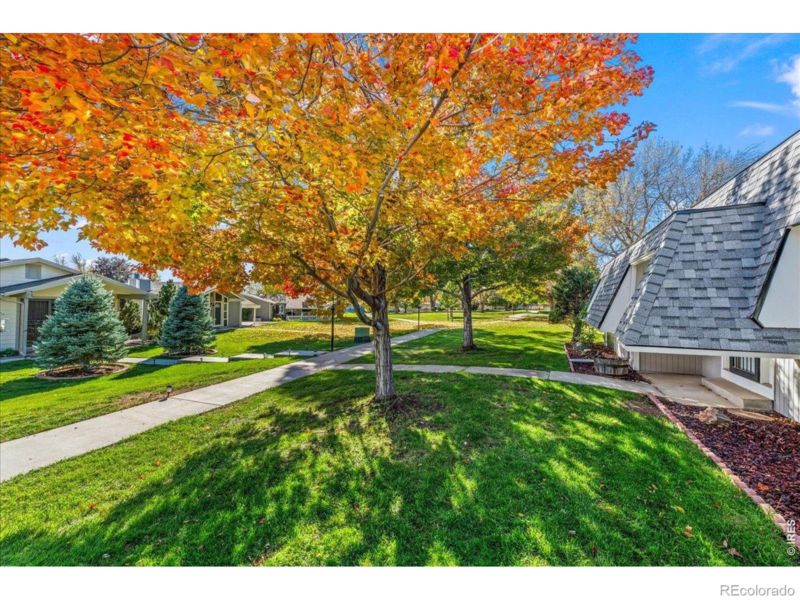 MLS Image #3 for 14  scott drive,broomfield, Colorado