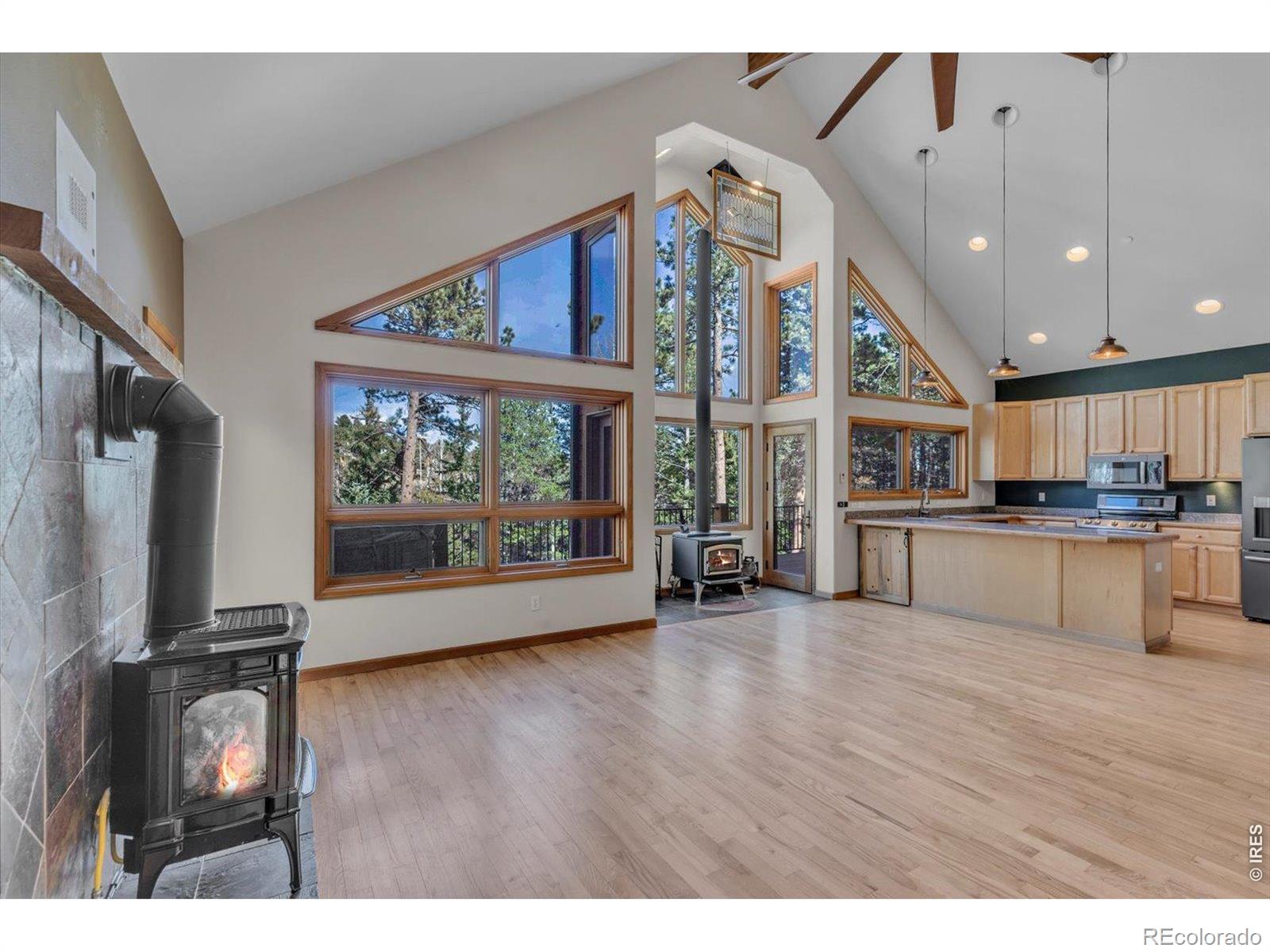 MLS Image #2 for 317  ridge road,ward, Colorado