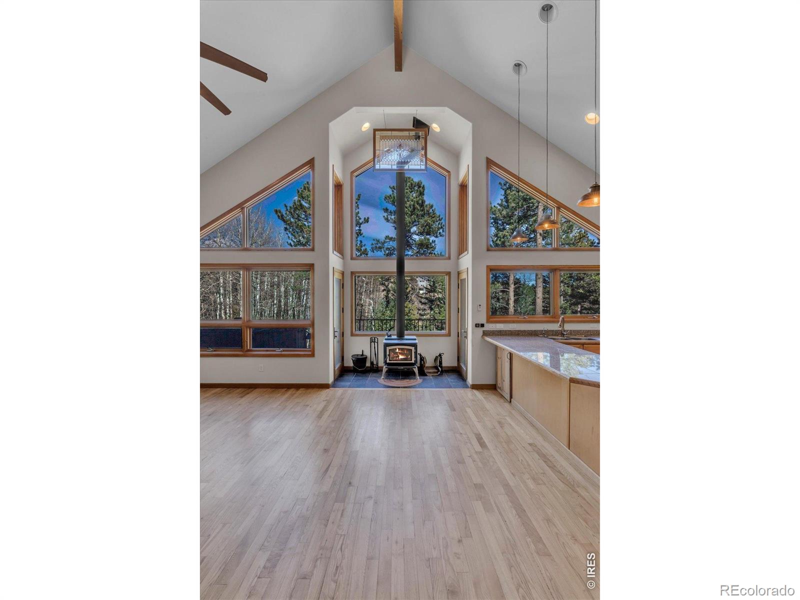 MLS Image #6 for 317  ridge road,ward, Colorado