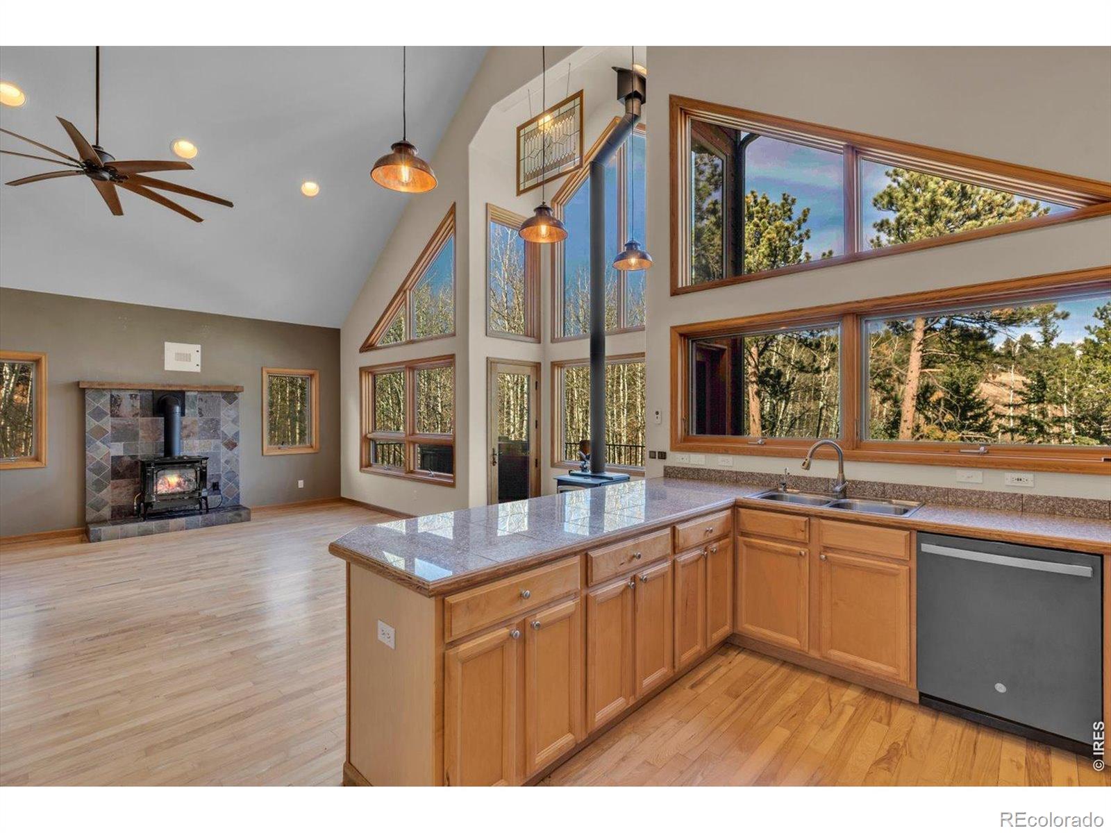MLS Image #8 for 317  ridge road,ward, Colorado