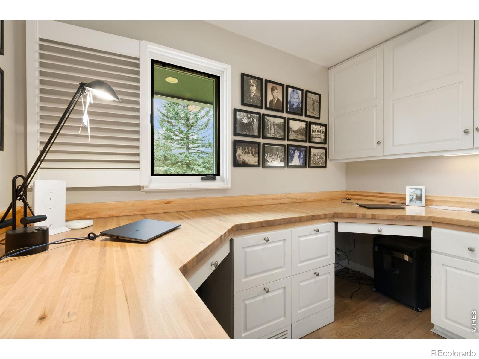 MLS Image #18 for 3109  michelle lane,fort collins, Colorado