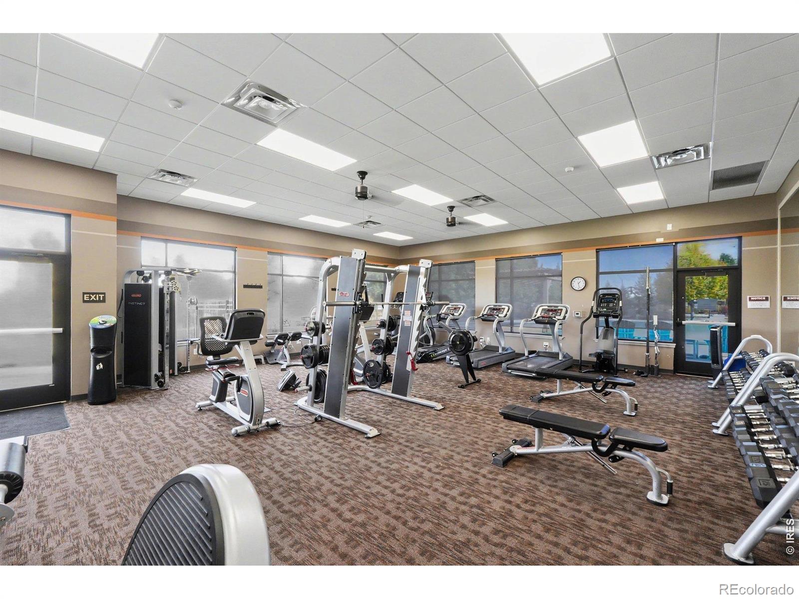 MLS Image #47 for 6421  wind break court,fort collins, Colorado