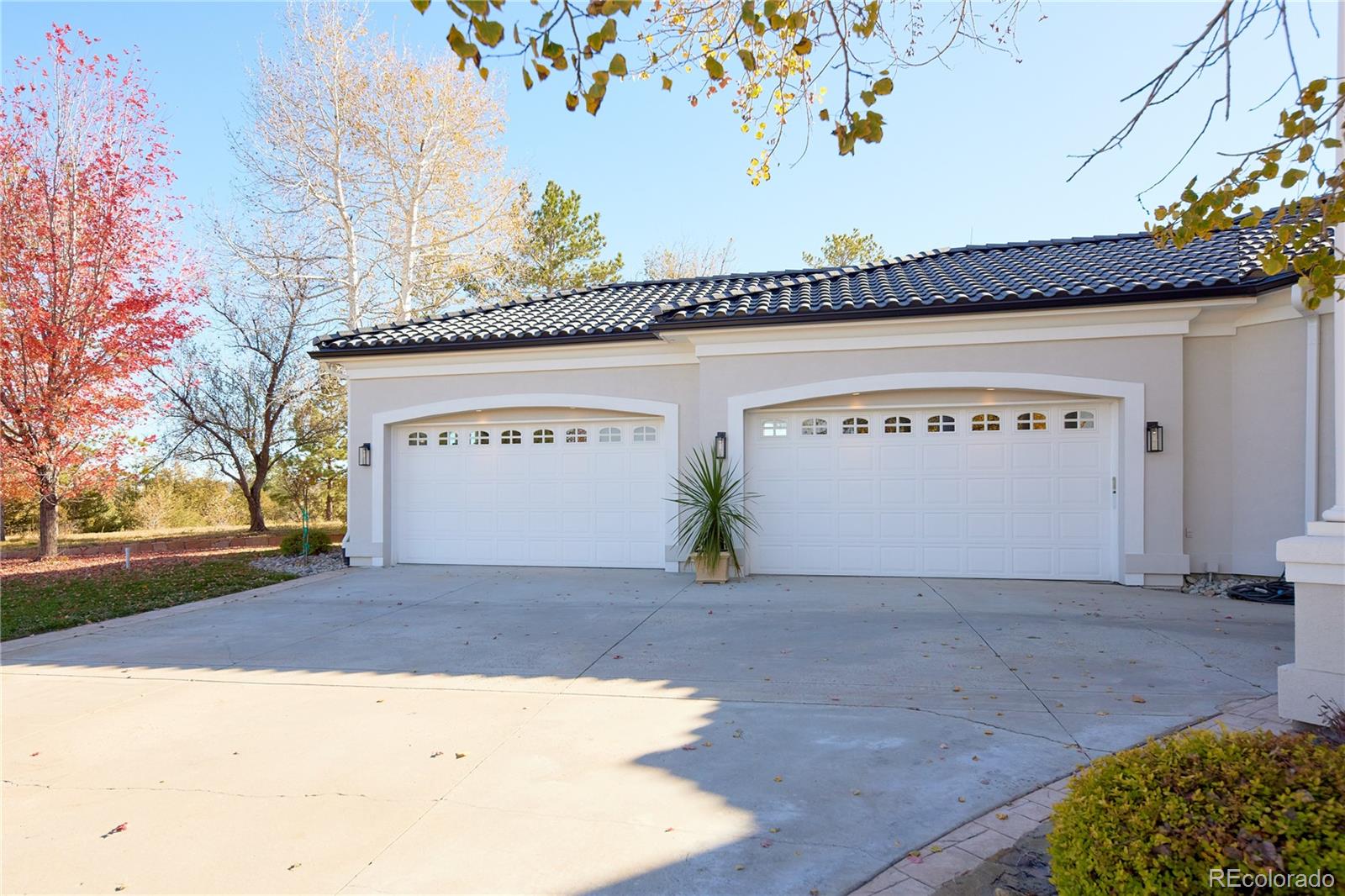 MLS Image #2 for 3638  palmer ridge drive,parker, Colorado