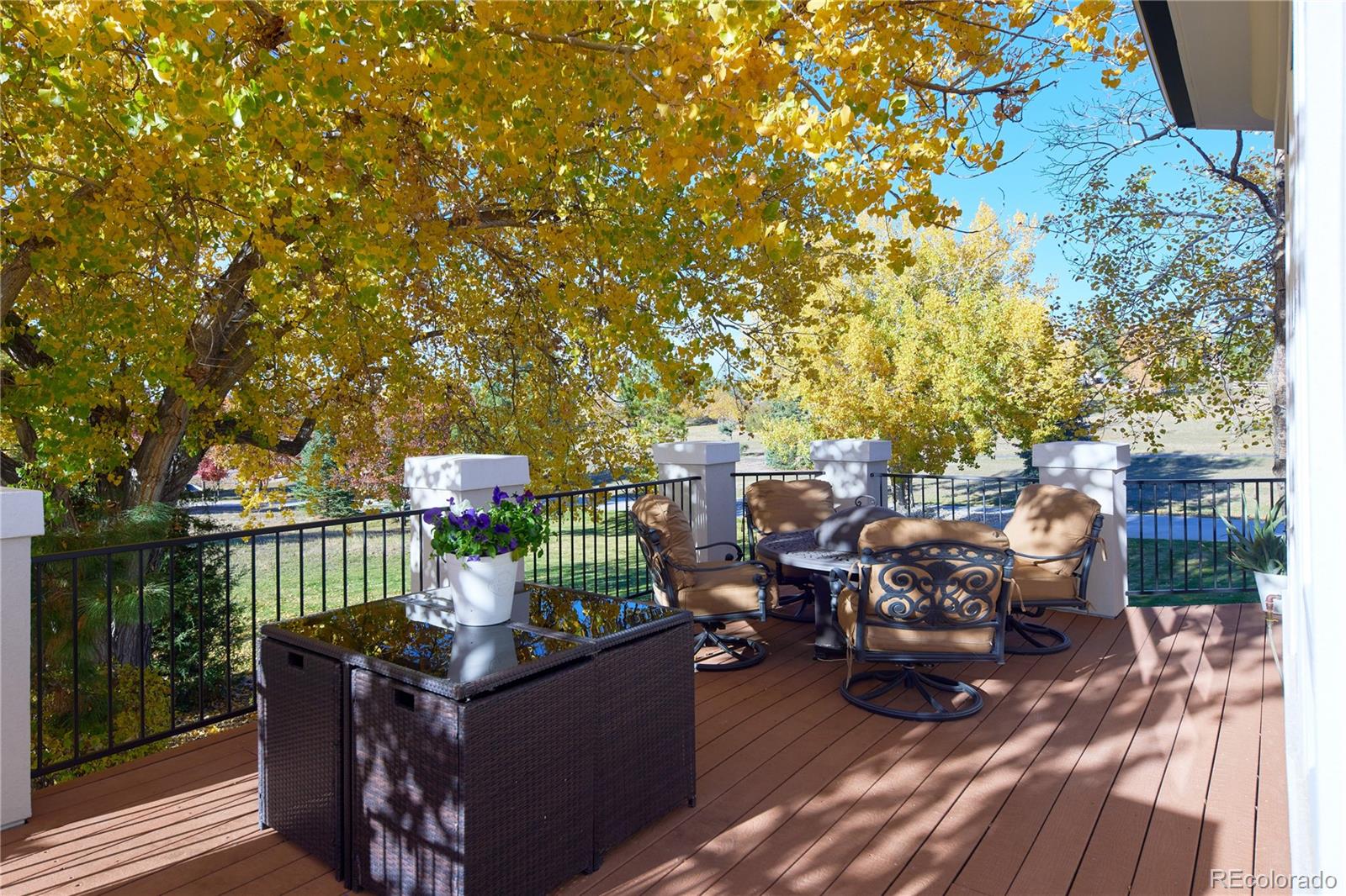 MLS Image #44 for 3638  palmer ridge drive,parker, Colorado