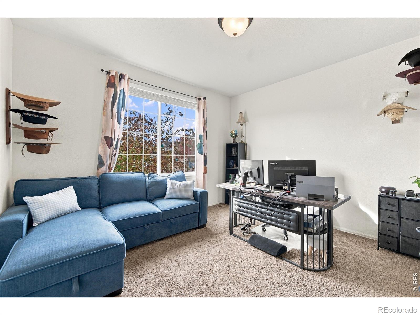 MLS Image #22 for 1544  brant street,berthoud, Colorado