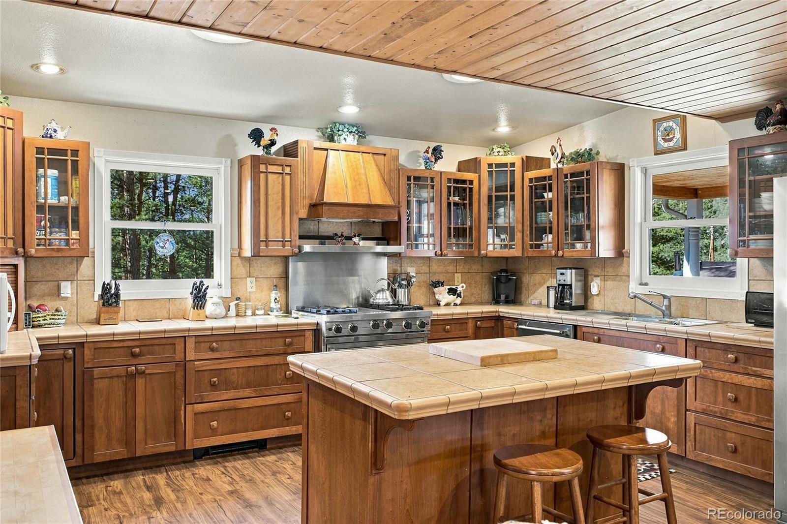 MLS Image #16 for 23916  logan avenue,conifer, Colorado