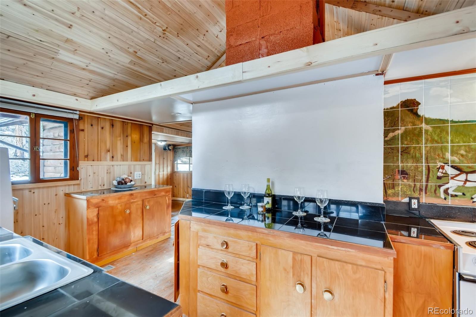MLS Image #9 for 15958  old stagecoach road,pine, Colorado
