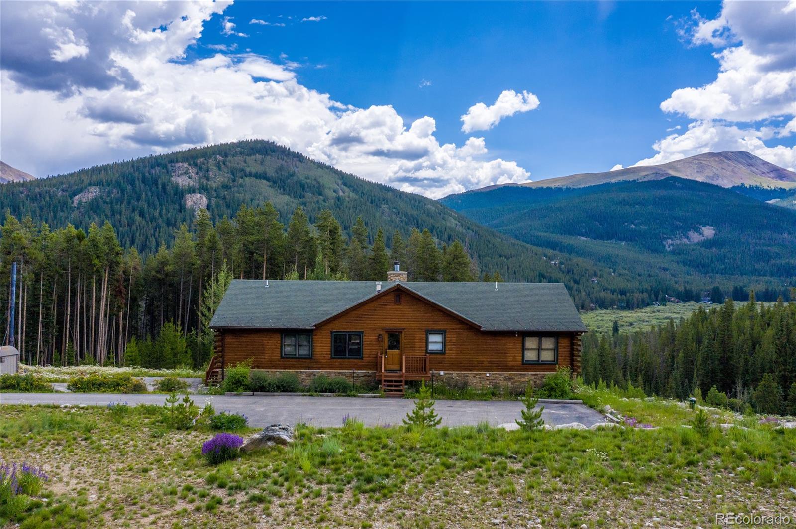 MLS Image #0 for 792  spruce creek road,breckenridge, Colorado