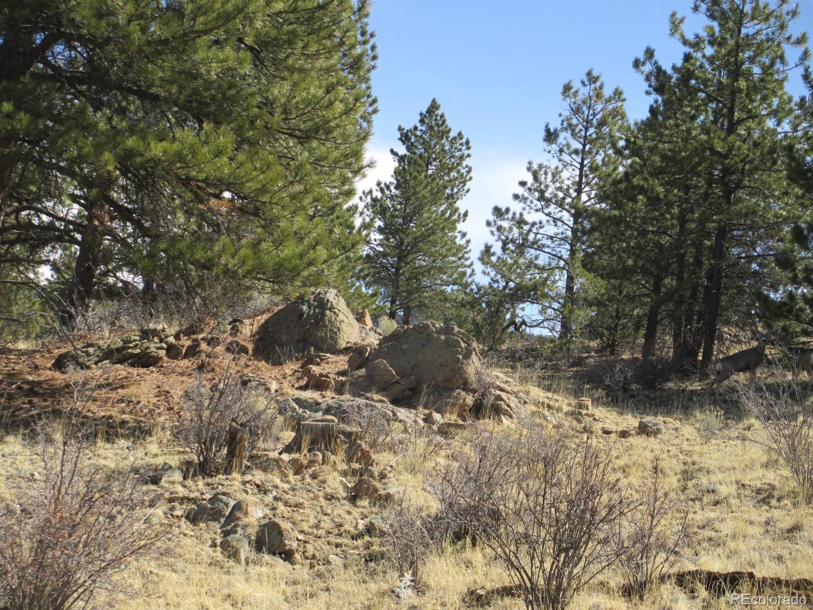 MLS Image #5 for 1525  tibby trail,westcliffe, Colorado