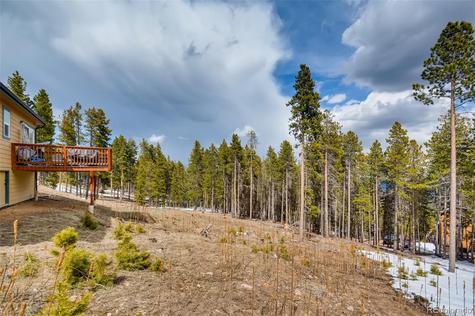 MLS Image #20 for 90  sioux trail,evergreen, Colorado