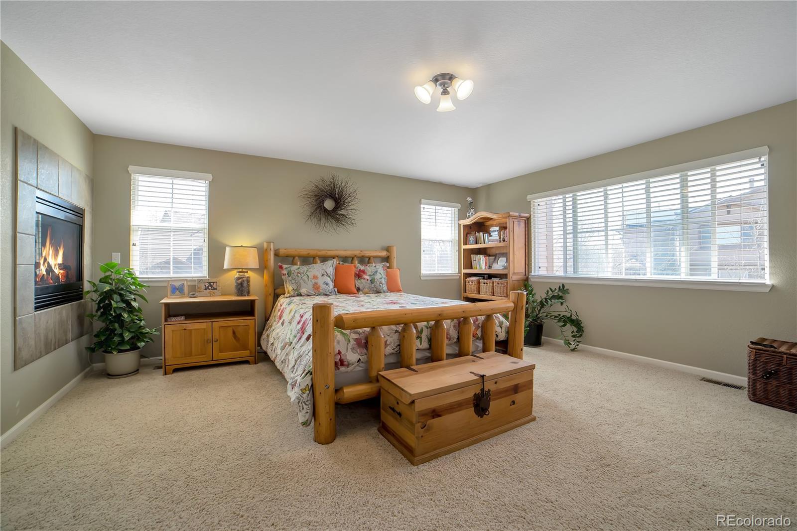 MLS Image #11 for 10563  westcliff place,highlands ranch, Colorado