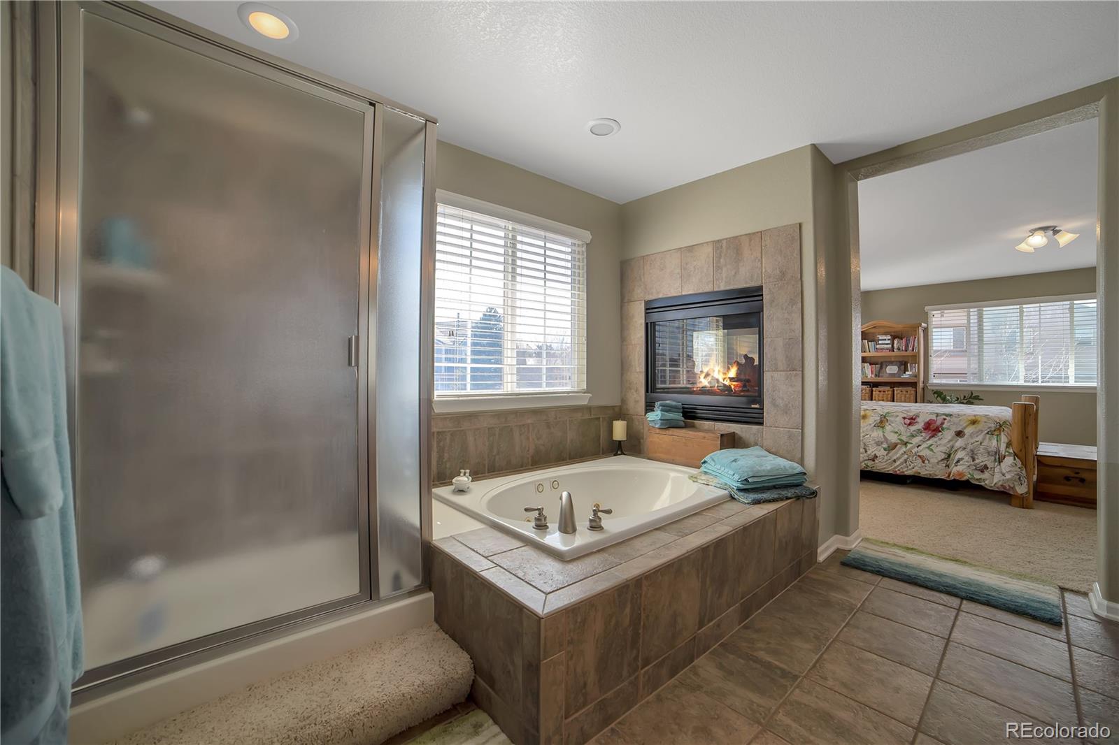 MLS Image #13 for 10563  westcliff place,highlands ranch, Colorado