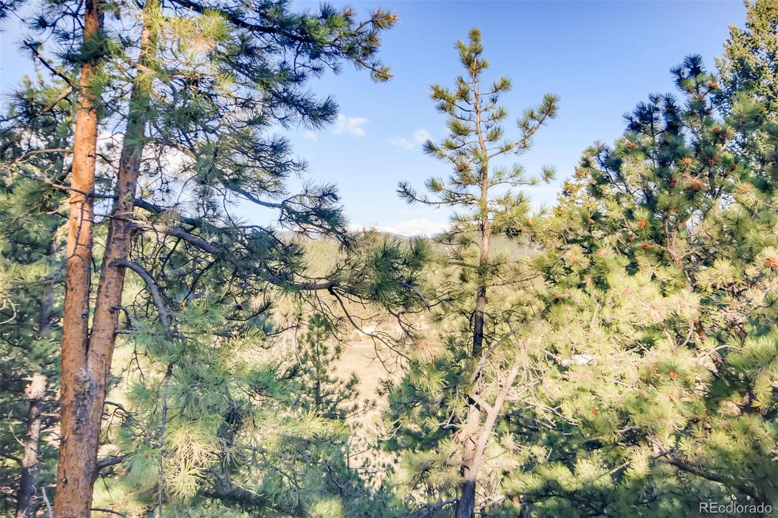 MLS Image #32 for 6087  oberstrasse road,evergreen, Colorado