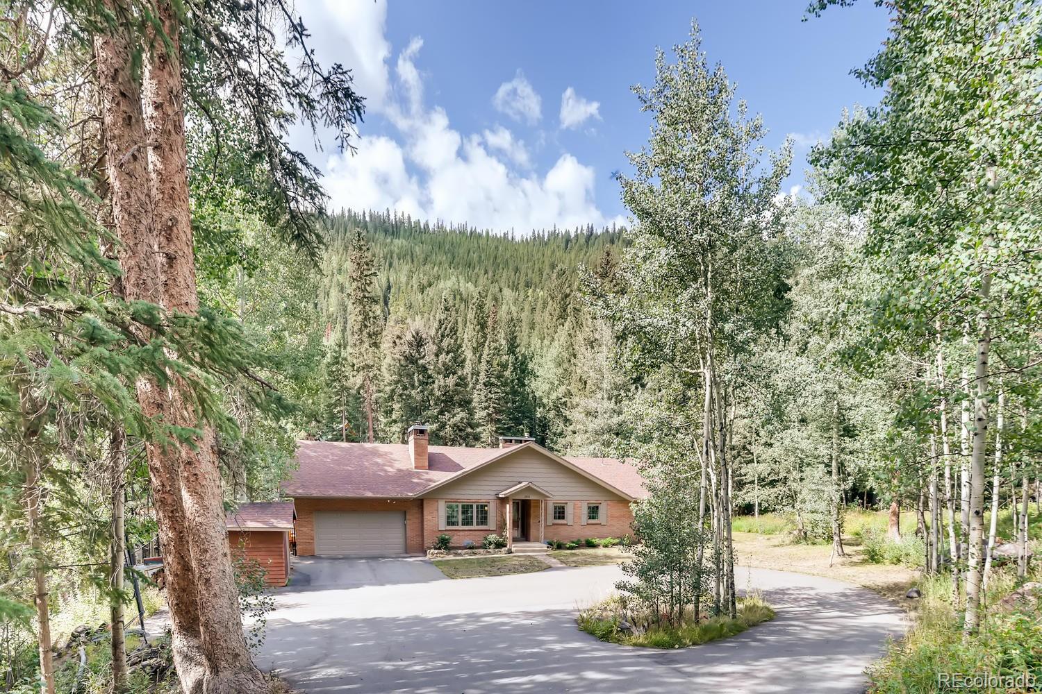 MLS Image #0 for 2831  mill creek road,dumont, Colorado