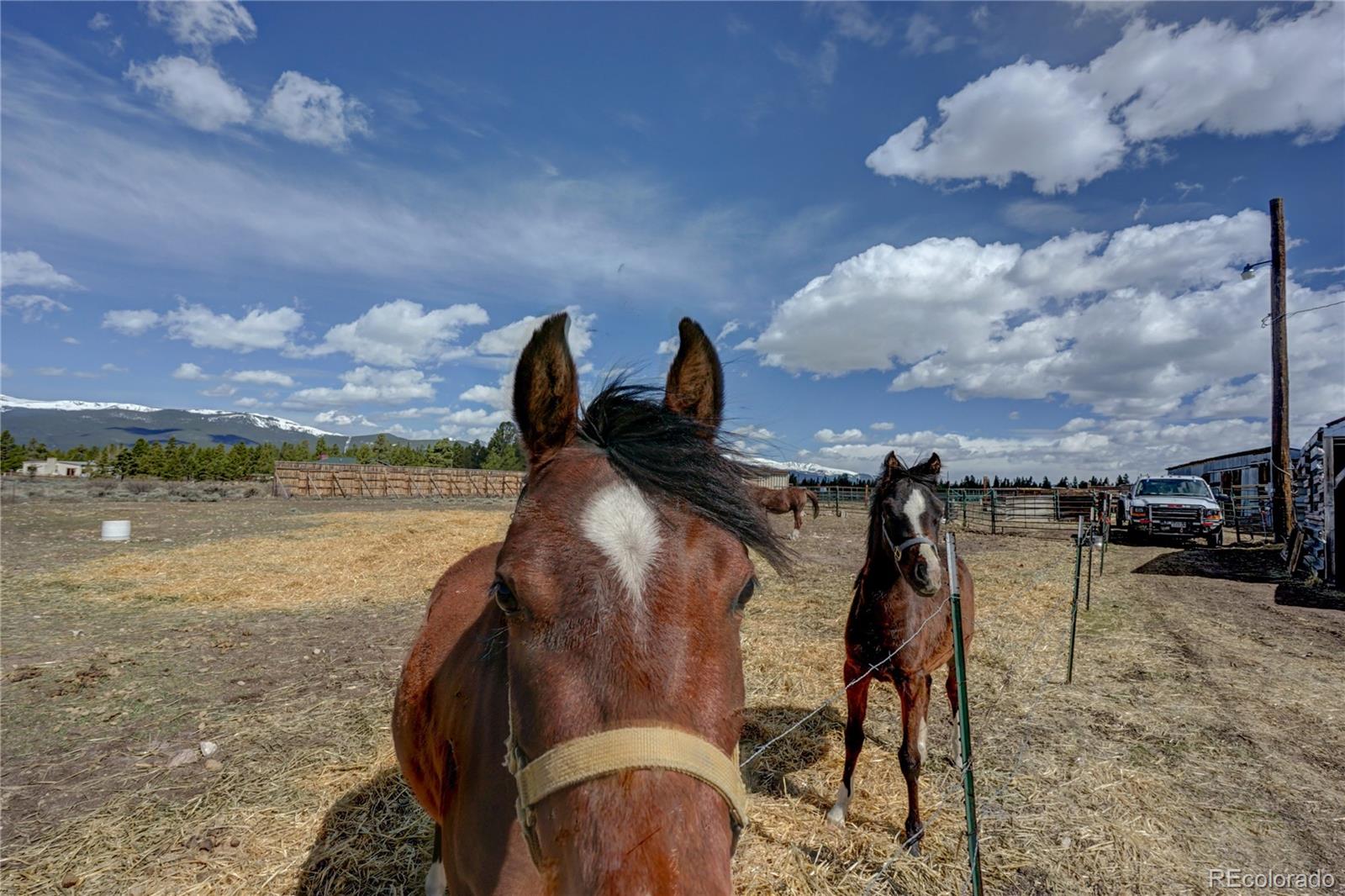 MLS Image #0 for 979  loop road,leadville, Colorado