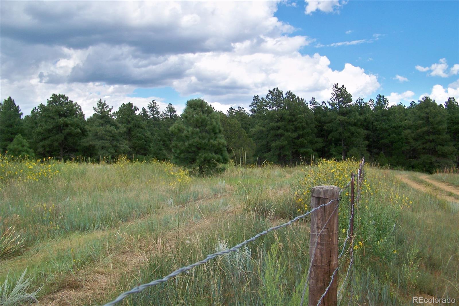 MLS Image #0 for lot 143  deer path circle east ,weston, Colorado