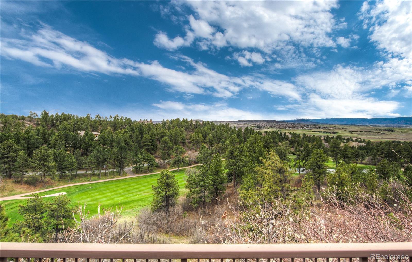 MLS Image #9 for 100  coulter place,castle rock, Colorado