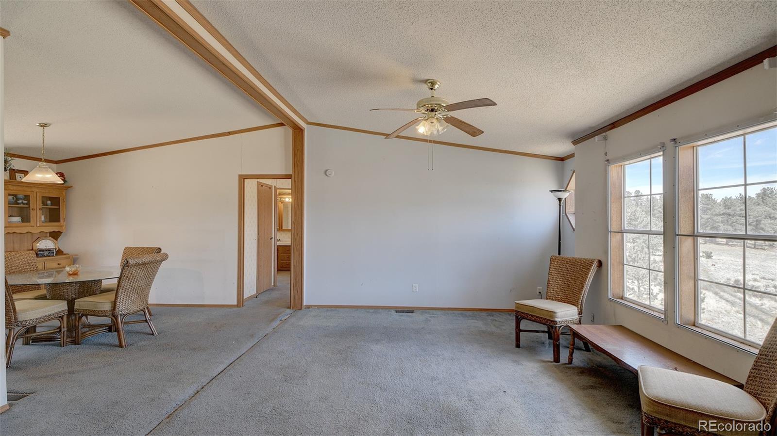 MLS Image #18 for 3040  homestake place,florissant, Colorado