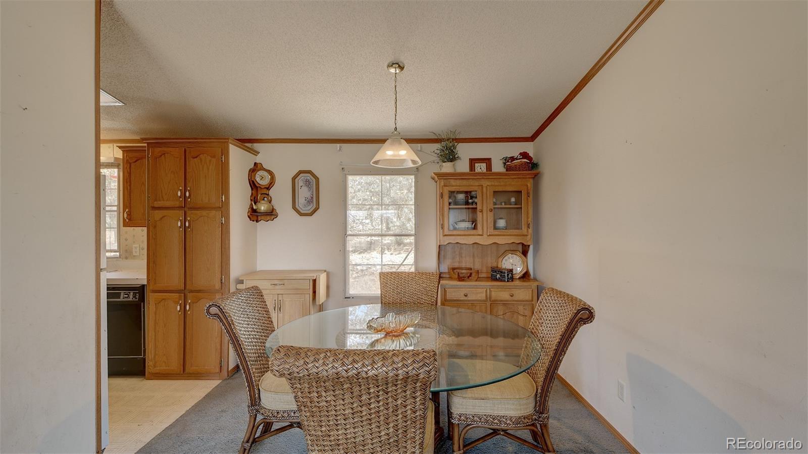 MLS Image #19 for 3040  homestake place,florissant, Colorado