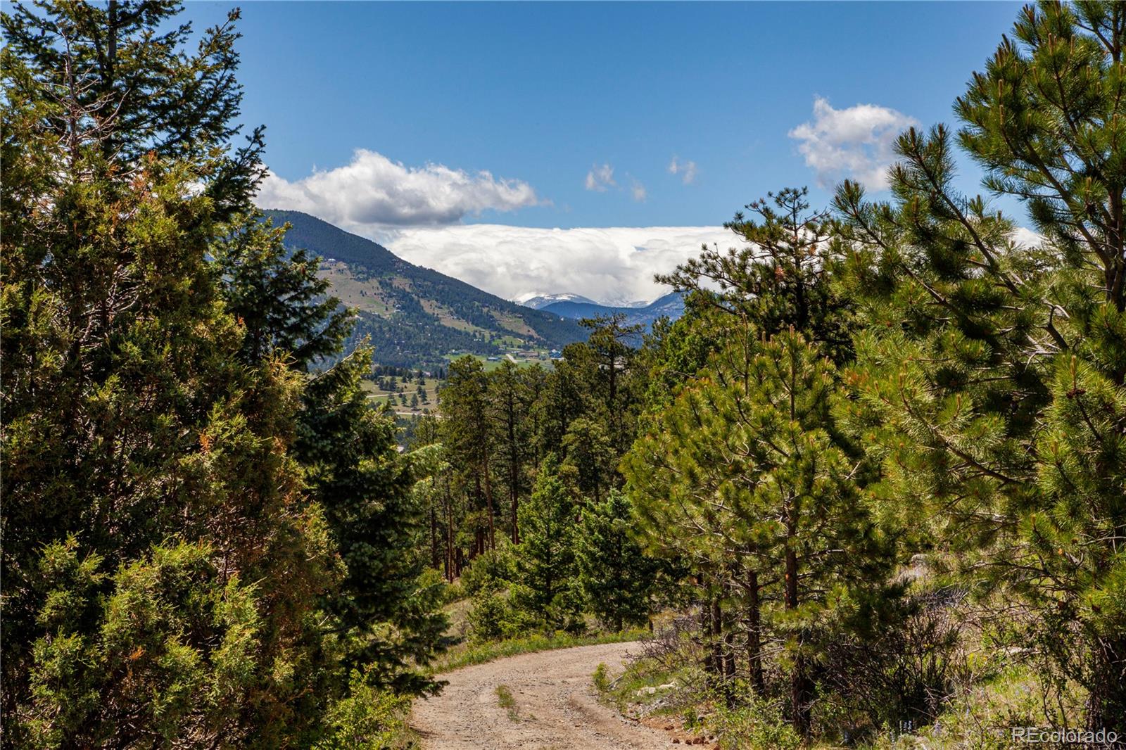 MLS Image #6 for 31714  ruby ranch road,evergreen, Colorado