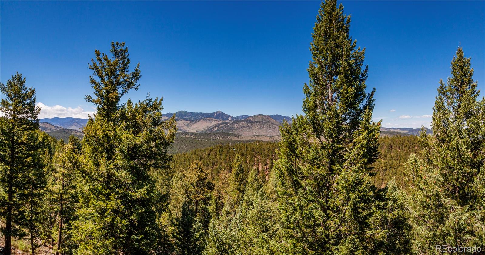 MLS Image #7 for 31714  ruby ranch road,evergreen, Colorado
