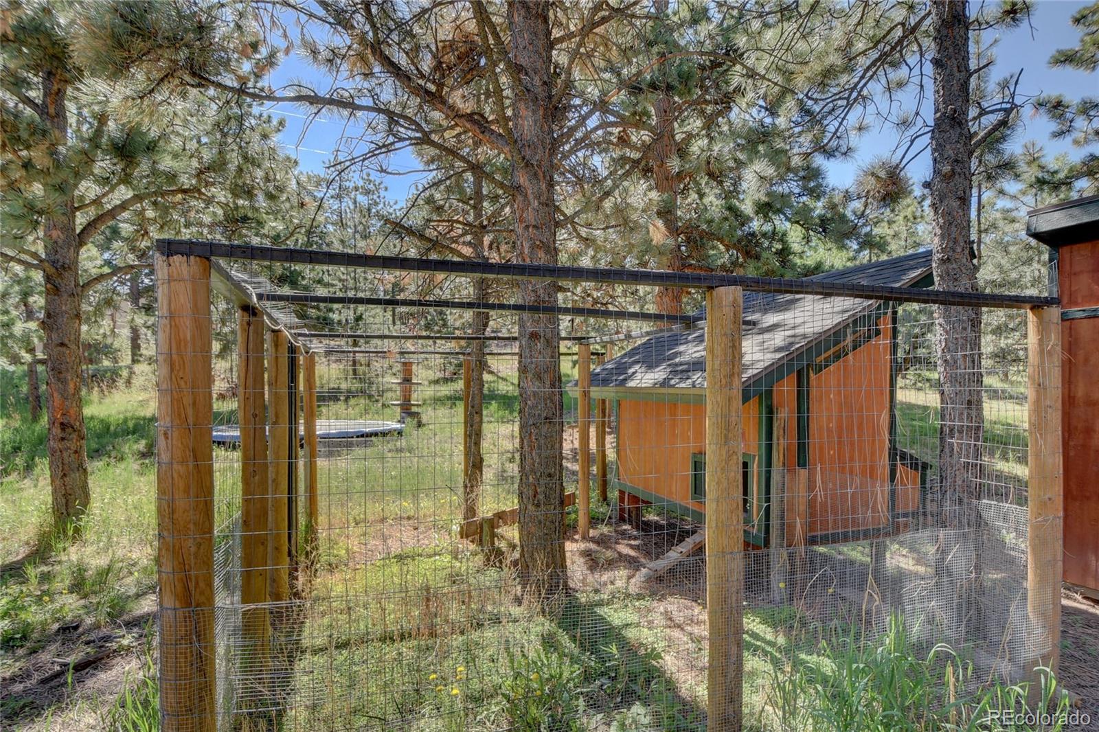 MLS Image #27 for 13284 s cheyenne court,pine, Colorado