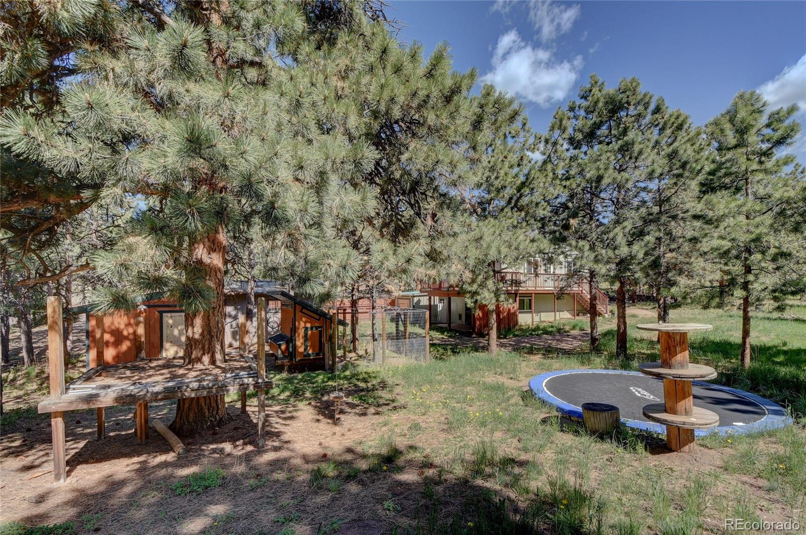 MLS Image #29 for 13284 s cheyenne court,pine, Colorado